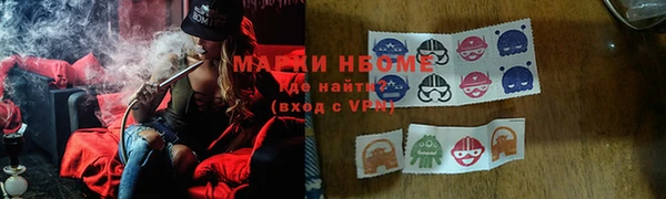 ГАЛЛЮЦИНОГЕННЫЕ ГРИБЫ Карталы