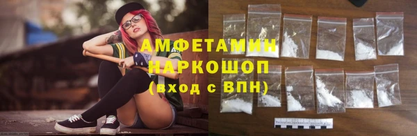 прущие грибы Карпинск