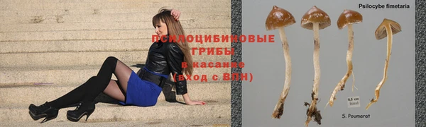 гашишное масло Касимов