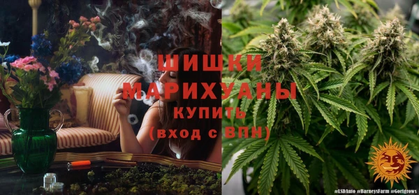 прущие грибы Карпинск