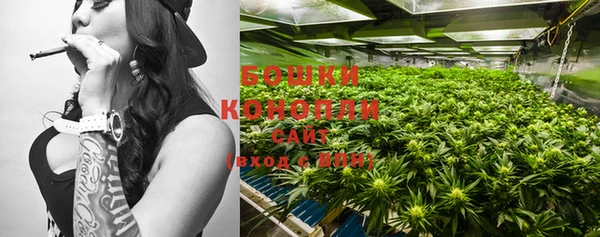 прущие грибы Карпинск