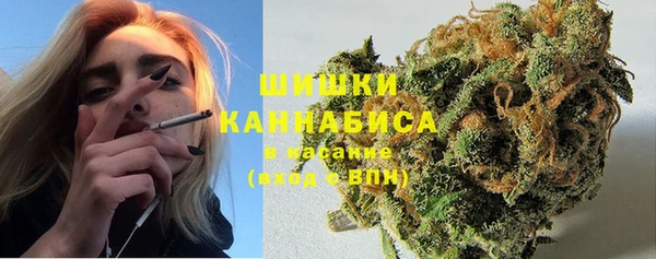ГАЛЛЮЦИНОГЕННЫЕ ГРИБЫ Карталы