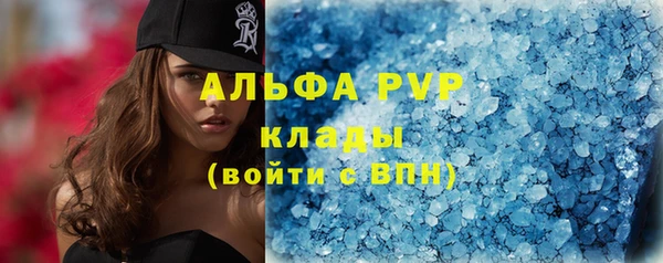 ГАЛЛЮЦИНОГЕННЫЕ ГРИБЫ Карталы