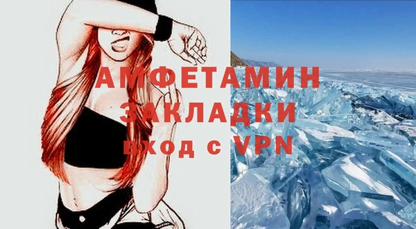 прущие грибы Карпинск