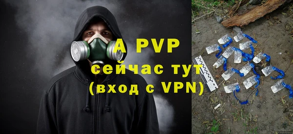 прущие грибы Карпинск
