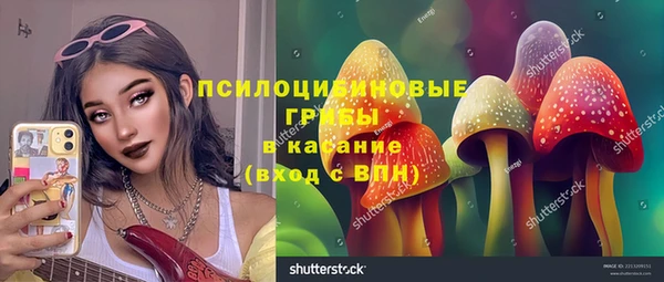 прущие грибы Карпинск