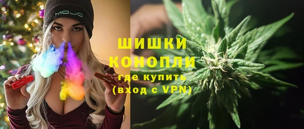прущие грибы Карпинск