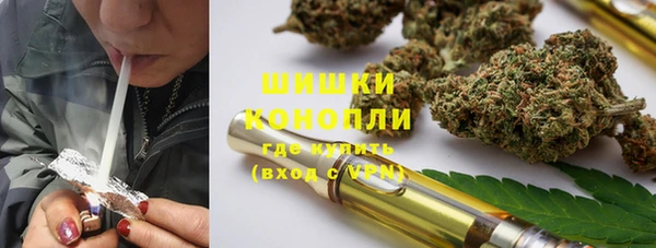 ГАЛЛЮЦИНОГЕННЫЕ ГРИБЫ Карталы