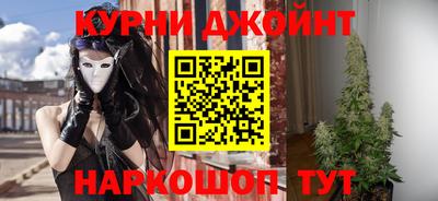 mdpv Гатчина