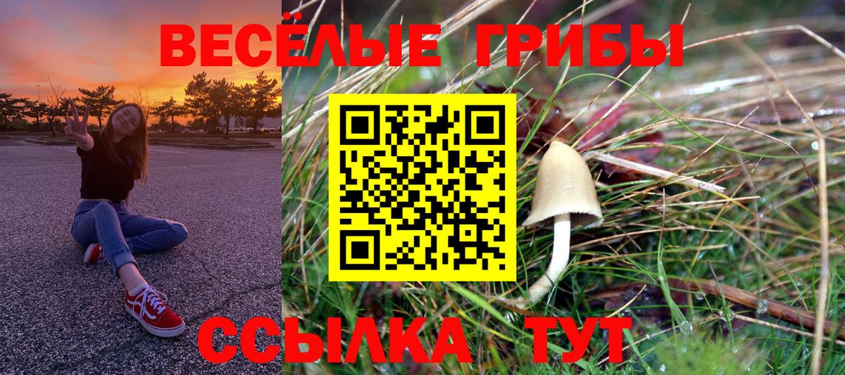 Псилоцибиновые грибы Magic Shrooms Волгодонск