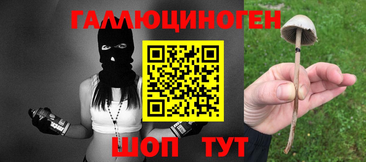 Галлюциногенные грибы Psilocybine cubensis  Псилоцибиновые грибы Psilocybine cubensis  Волгодонск 